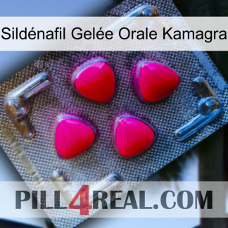 Sildénafil Gelée Orale Kamagra 13
